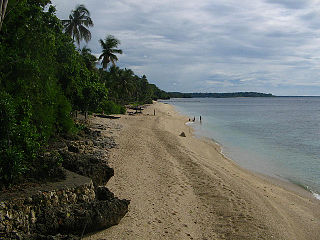 <span class="mw-page-title-main">Siaton</span> Municipality in Negros Oriental, Philippines