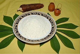 <span class="mw-page-title-main">Tapioca</span> Starch extracted from cassava roots