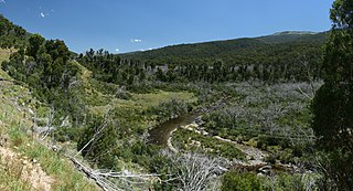 <span class="mw-page-title-main">Thredbo River</span> River in New South Wales, Australia