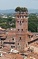 Guinigiturm, Lucca