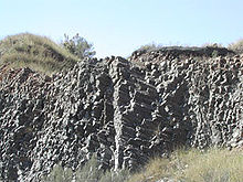 Columnar jointing in melilite-olivine nephelinite from the Southern Balcones volcanic and intrusive rocks, Uvalde County, Texas. Uvalde columns.jpg