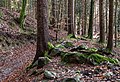 English: Hiking trail to the ruin Deutsch: Wanderweg zur Ruine