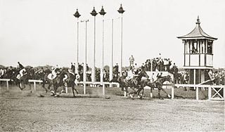 <span class="mw-page-title-main">Brooklyn Stakes</span> Horse race