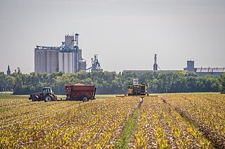 <span class="mw-page-title-main">Industrial agriculture</span> Form of modern industrialized farming