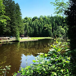 <span class="mw-page-title-main">Belfountain, Ontario</span> Community in Ontario, Canada