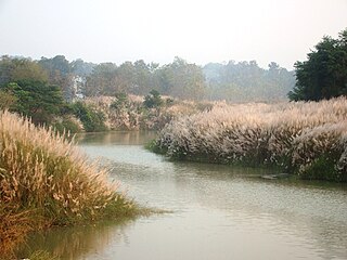 <span class="mw-page-title-main">Pathapatnam</span> Place in Andhra Pradesh, India