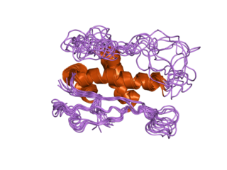 <span class="mw-page-title-main">SNX1</span> Protein-coding gene in the species Homo sapiens