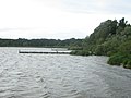 das nordöstliche Ufer zwischen Haveleinmündung in Caputh und Wentorfgraben.