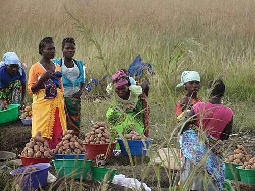 Agricultoras vendendo batatas, na Estrada Huambo-Bié