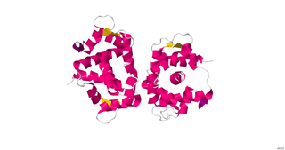 Myosin light-chain kinase Class of kinase enzymes