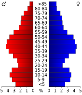 Bevolkingspiramide Belknap County