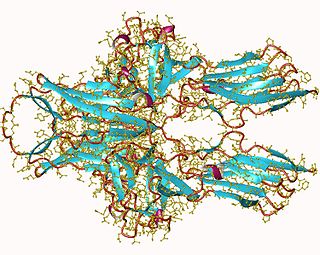 <span class="mw-page-title-main">VEGF receptor</span> Protein family