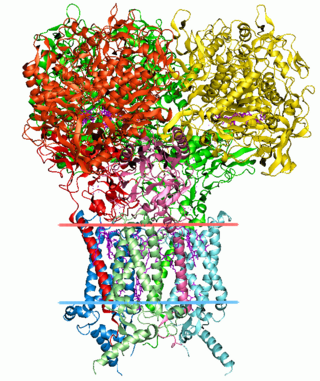 <span class="mw-page-title-main">Structural bioinformatics</span> Bioinformatics subfield