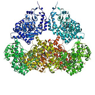 Aldosterone synthase