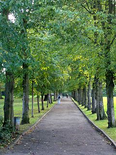 Alexandra Park, London