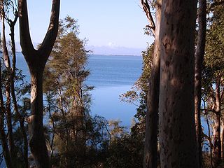 <span class="mw-page-title-main">Tuggerah Lake</span> Lake in the state of New South Wales, Australia