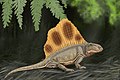 Dimetrodon_loomisi_DB.jpg