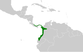 Distribución geográfica del batarito coronipunteado.