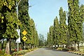 Entrance boulevard at Gong Badak campus