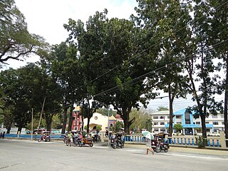 <span class="mw-page-title-main">Aringay</span> Municipality in La Union, Philippines