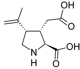 Kainic acid Chemical compound