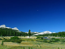 Tuolumne Meadows