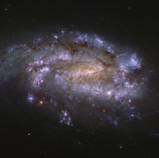 <span class="mw-page-title-main">NGC 1559</span> Galaxy in the constellation Reticulum