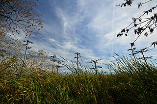 <span class="mw-page-title-main">Fourmile Island Rookery State Natural Area</span> State Natural Area in Dodge County, Wisconsin