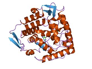 <span class="mw-page-title-main">Biopterin-dependent aromatic amino acid hydroxylase</span>