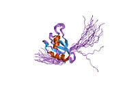 PDB 1wi8 EBI.jpg