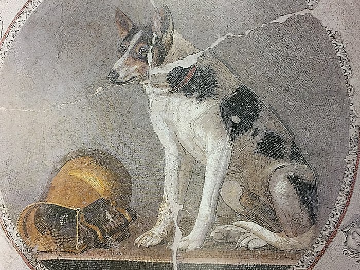 Ptolemaic mosaic of a dog with metal askos from Hellenistic Egypt.