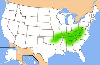 <span class="mw-page-title-main">Upland South</span> Geographic region in the Southern US