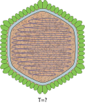 Neue Vektorgrafik