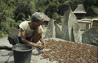 <span class="mw-page-title-main">Coffee production in Indonesia</span>