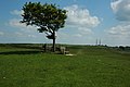 Top of Cleeve Hill on Cleeve Common