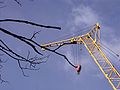 Crane in Cherepovets, Russia