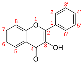 <span class="mw-page-title-main">Flavonols</span> Class of plant and fungus secondary metabolites