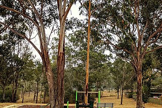 <span class="mw-page-title-main">Grey Box Reserve</span> Nature reserves in Australia