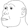 Homo habilis