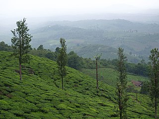 Meppadi Town/Village in Kerala, India