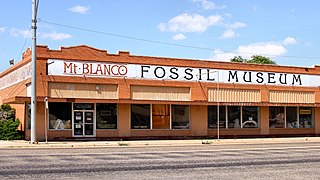 Mt. Blanco Fossil Museum