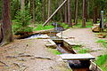 Abzweig des Röhrgrabens vom Greifenbach im Geyerschen Wald