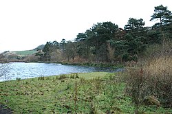 Scarborough Mere.jpg