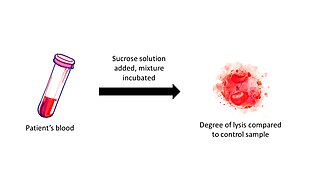 <span class="mw-page-title-main">Sucrose lysis test</span>