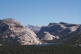 Vicinity of Tenaya Lake