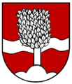 Buchenbach alt[63]