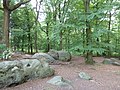 Aachener Wald – Zyklopensteine