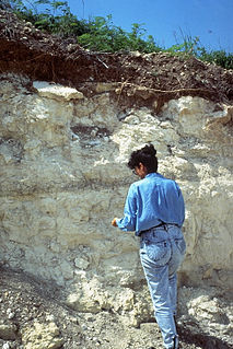 Solum surface and subsurface layers of soil