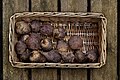 67 Beetroots in a basket uploaded by W.carter, nominated by W.carter,  21,  0,  0