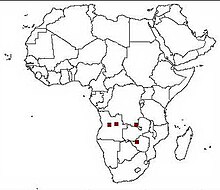 Distribution of Laephotis.jpg